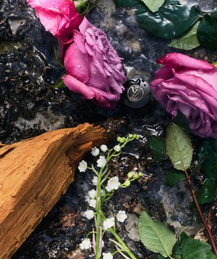 eLVes Louis Vuitton 100ml